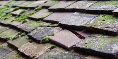 Nuffield roof repair costs